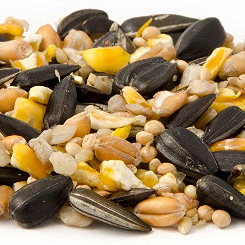 CJ Wildlife 111410615 Wildvogel-Streufutter mit Insekten 2 kg – empfohlen vom NABU und dem LBV - 2