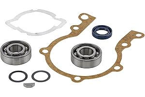TÛCHE Kit SKF revisione completo motore compatibile con tutti i modelli ciao si bravo boxer si cuscinetti SKF paraoli corteco chiavella volano guarnizioni spessori albero