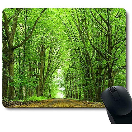 Preisvergleich Produktbild Schöner Frühlings-natürliche Szenen-Grün-Baum-Mausunterlage 30X25CM