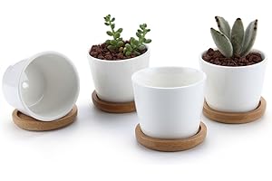 T4u 6 CM Ceramica Blanca Macetas para Flores Conjunto de 4, Diseño Simple Cerámicos Planta Maceta Suculento Cactus Planta Contenedor Vivero Macetas de jardín Envase