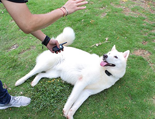 COFIT-Anti-Bark-Remote-Dog-Training-Collar-with-Sound-and-Vibration-Function