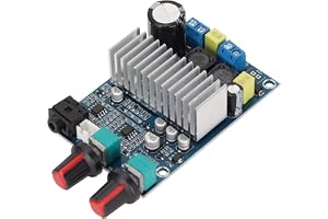 Digitalt Förstärkarkort, TPA3116D2 Professional Power Amplifier Board, 100W Basutgångssubwooferförstärkarmodul, Ljudstereoförstärkarkort för Gör-det-självhögtalare