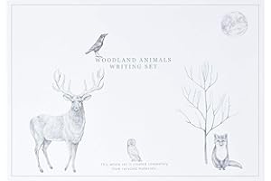 THE LAZY PANDA CARD COMPANY 23 Piece Recycled Writing Paper Gift Set with Envelopes