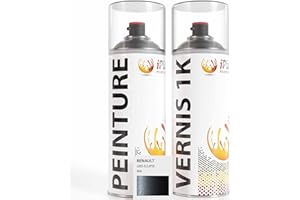 ipixline Kit Peinture Carrosserie Voiture - Bombe de Peinture 400 ml et Vernis Brillant 1k 400 ml - Pack Spray Aérosol Retouche Auto Moto pour Renault - Gris Eclipse - B66