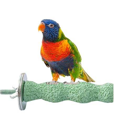 PINVNBY Vogel-Sitzstangen-Set – 4 Stück Mit Kalzium & Schleifstein Für Papageien & Sittiche