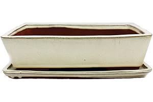 EXOTENHERZ Bonsai Bol avec sous assiette Taille 5 – Beige clair – Carré – Modèle G30 – L 31 cm – B 23 cm – H 8 cm