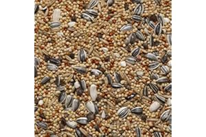 Il Contadino - Antichi Becchimi | MISCUGLIO per PARROCCHETTI | Formula ricca di semi Selezionati adatta per tutto l'anno, No OGM, 100% Vegetale, Assenza di scarti. Qualità Superiore (1 Kg)