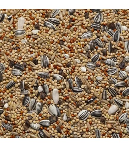 69 - Grandi Parrocchetti Con Girasole - Deli Nature Italia | Agriplanet