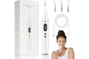 PLAINFYLORA Elektrisches Zahnreinigungs-Set für Zuhause – 4 Reinigungsmodi mit 2 Wechselköpfen & USB-Ladung