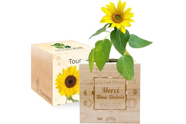 Amikado - Ecocube gravé Merci Maîtresse (Tournesol) - Plantes dans Un Cube en Bois - 100% Eco Friendly - idée Cadeau Durable