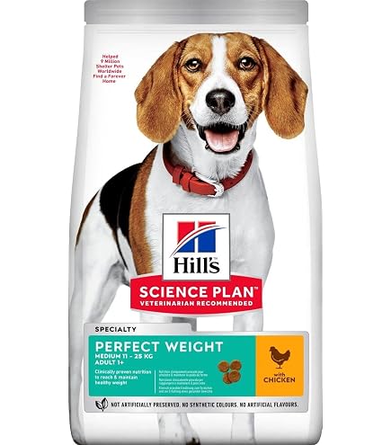 Hills Canine Puppy Lamm & Reis – 12 Kg Welpenfutter Für Gesunde Entwicklung