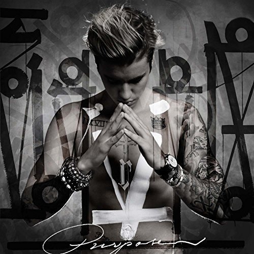 Preisvergleich Produktbild Purpose (Limited Fan Box)
