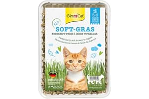 GimCat Soft hierba - Tierna hierba para gatos rica en vitaminas, de crecimiento rápido en solamente 5 a 8 días - 1 bandeja (1 x 100 g)