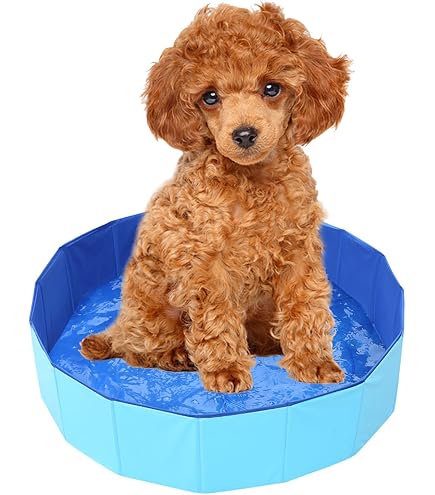 Piscina Plegable Para Perros O Niños Grande 120x30cm – Portátil Y Resistente | PVC Azul Gris