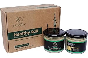 Sale Verde Saltwise, Confezione Da 2 Barattoli Da Chef Gourmet – 50% Di Sodio In Meno, Sostituto Del Sale Vegetale, 100% Salicornia Disidratata (Fagioli Di Mare), Umami, Senza Additivi (14.10 Ounce)