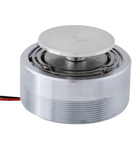 Altoparlante A Vibrazione 2.5 Pollici 4 Ohm 40W - Driver Per Bassi Risonanti, Per Home Theater, Fai Da Te Audio