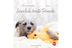 Ziemlich beste Freunde Postkartenkalender 2026 - Für immer dein: Postkarten-Fotokalender mit Hunden und ihren Lieblingsstofftieren. Kleiner Kalender ... lustiger Sprüche. (Postkartenkalender Heye)
