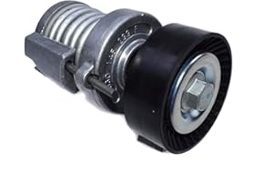 JUMBO AUTO PARTS eGang 030145299C 030145299F - Tensor de Correa de distribución de Metal para VWS Bora Caddy Golf IV V Lupo Polos 1.0 1.3 1.4 1.6