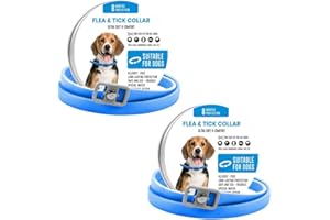 BKEPDY Collare Antiparassitario Cani Regolabile Protezione 8 Mesi Repellente Pulci Zecche Impermeabile Taglia Unica