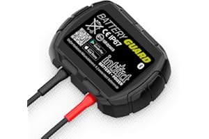 intAct Battery-Guard, Monitor de baterías para la supervisión por Bluetooth de baterías de Plomo y Litio de 12 V, con indicación de tensión y Temperatura