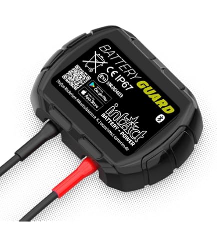 Batteria al Litio da 100 Ah 12 V, LiFePO4 Batterie a ciclo profondo,1280Wh, Ricaricabile con Energia Solare, Perfetta per Sistemi Off-grid/Fotovoltaico/ Camper