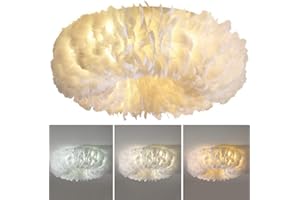 HYQJUNE E27 Nordische Kreative Decke Lampe Persönlichkeit Romantische Feder Restaurant Deckenleuchte Wohnzimmer Stoff Deckenlicht Für Kinderzimmer Hängeleuchte Prinzessin Schlafz Zimmer Deckenleuchte,60cm