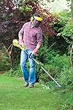 Ryobi RBC1226I Electric 2-in-1 Brush Cutter, 1200 W