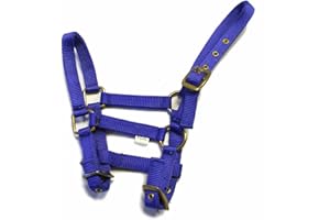 Rhinegold Collar de Nylon Potro