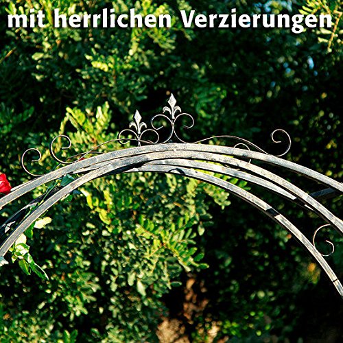 Rosenbogen Windsor Garden - 2