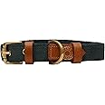 VamaLeathers Sustainable & Eco Material Dog Collar. 100% Cotton Canvas with Sturdy Solid Brass Buckle. Hand Made, Color- Green, Size- Large, Suitable for Neck Sizes 20-25 Inch, Width 1.25 Inch.