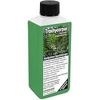 GREEN24 Trachycarpus Dünger für Hanfpalmen Tessinerpalmen Trachycarpus fortunei wagnerianus Palmen als Spezial…
