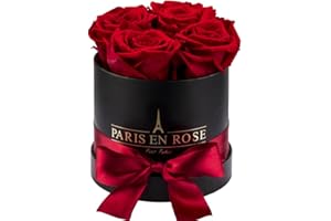 PARIS EN ROSE Rosenbox | mit 4 roten Infinity Rosen Größe XL | konservierte ewige Rose | runde Schwarze Box mit Schleife | 3 Jahre haltbar
