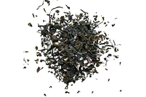 FRANCE HERBORISTERIE Tisane Fucus vésiculeux 100 GRS (Varech) thalle Fucus vesiculosus