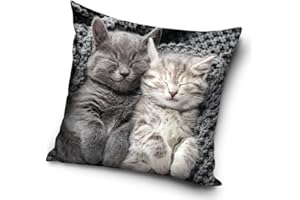 CARBOTEX Housse de coussin motif chat bébé 40 x 40 cm (PNL214099)
