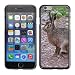 Produktbild Hülle Case Schutzhülle Cover Premium Case // F00002238 Hase braun Hase Lepus europaeus Islay // Apple iPhone 6 6S 6G 4.7"
