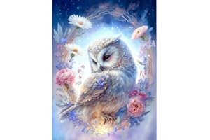 cdsnxore DIY Diamond Painting, Diamond Art Painting Owl Kits for Adults, Embroidery Pictures Arts Crafts for Beginner Home Wall Decor 30 × 40cm (White)