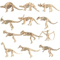 48 Squelettes Dinosaures Miniatures - Jeu éducatif Paléontologie