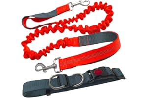 Aiqeer Pomarańczowa smycz bezdotykowa dla psa, regulowana muszka biodrowa i chowana smycz bungee w zestawie, z odblaskowym szwem (szara rękojeść)