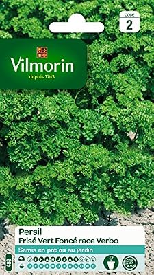 Vilmorin 3805042 Pack de Graines Persil Frise Race Verbo Sélection