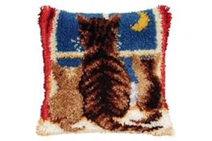 FANKXIUXI Knüpfkissen Set mit DIY Latch Hook Kissen Kit Eulenmuster,Knüpfteppich Für Kinder 43cm×43cm (A23)