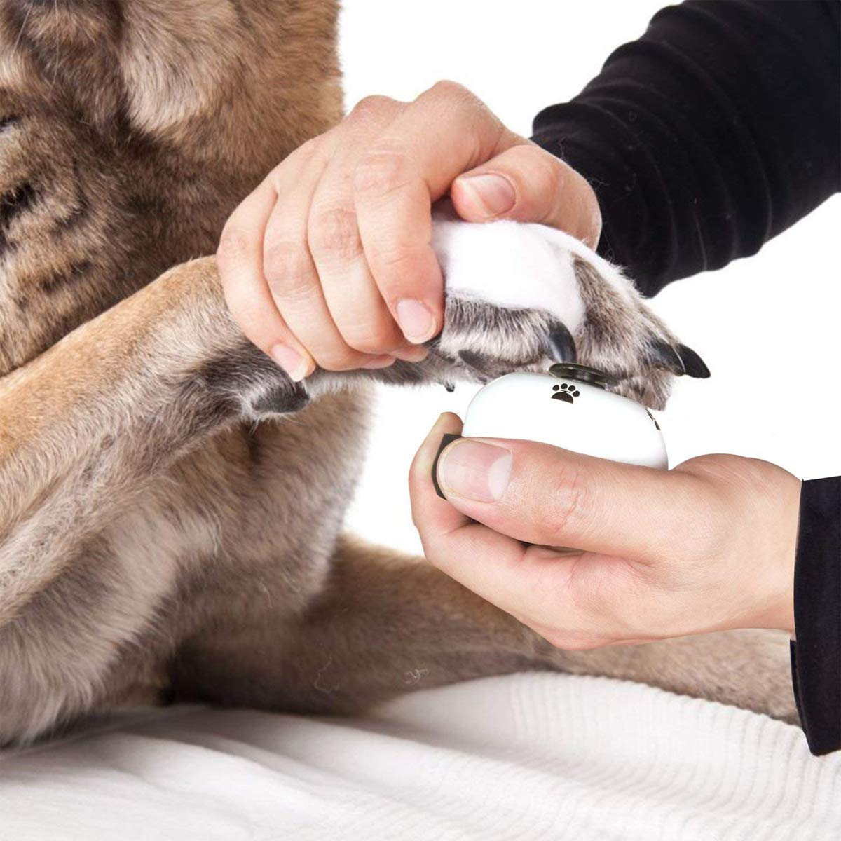 Mengger-Sonnettes-Chien-Formation-Cloche-dApprentissage-de-la-propret-pour-Animal-Domestique-Animaux-Clochette-Acier-Inoxydable-Outils-de-Communication-3-Pices-Sonnette-Cloches