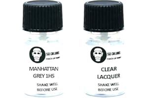 SD COLORS MANHATTAN GREY 1H5 - Pintura de retoque (15 ML), color gris manhattan