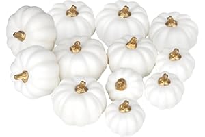 Miaikoe Künstliche Kürbisse 12Pcs Verschiedene Größen Bulk Weiße Ernte Lebensechte Kürbis gefälschte Schaum Kürbisse Set für Herbst Herbst Halloween Party Thanksgiving Urlaub Dekor Anzeige