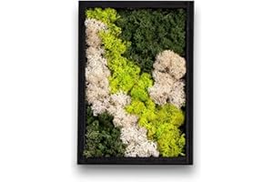 comforder Rechteckiges Wandbild mit echtem Moos (24 cm), Konserviertes Moosbild mit Holzrahmen, Natur Wanddeko fürs Wohnzimmer