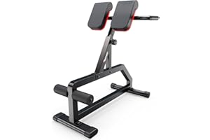 PASYOU Panca Sedia Romana Multifunzione Iperestensioni Crunch Tricipiti Dips Regolabile Richiudibile Casa e Fitness