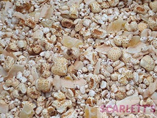 Tidymix 4 Puffed Crunch Blueberry &amp; Coconut 500g Bird Treat