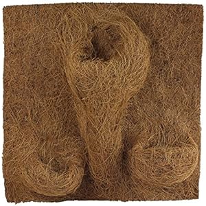 Reptiles Planet Habitat-Dekoration Planting Background 40x 40x 1cm