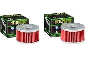 DB PARTS Set di 2 filtri olio compatibili con Suzuki 650 DR RSE (SP43B) 1990 1991 1992 1993 1994 1995 1996