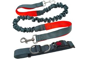 Aiqeer Szara smycz dla psa, regulowany pas biodrowy i rozciągliwa smycz bungee