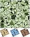 Produktbild Tile Style Decals | Modell (30xTP 10 - 6in- Green Tea) | Mosaik Wandfliese Aufkleber für 15x15cm Fliesen | Fliesen-Aufkleber Folie | Deko-Fliesenfolie für Küche u. Bad (15cm - 30 stück, Grüner Tee)